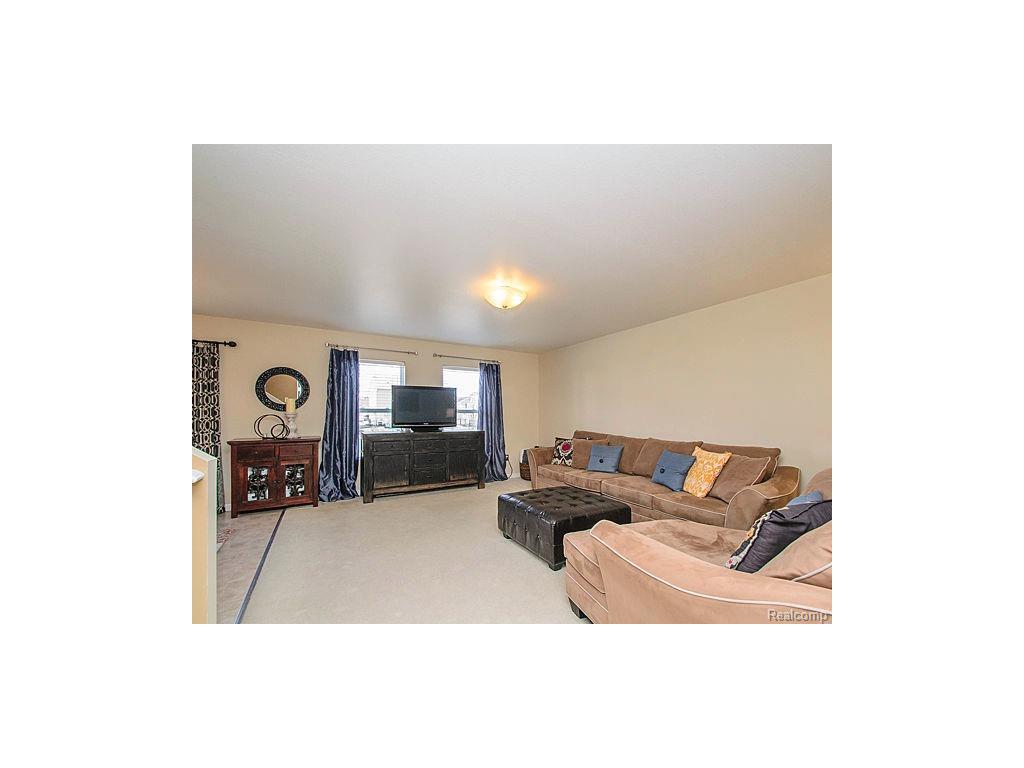 1262 Beavertail