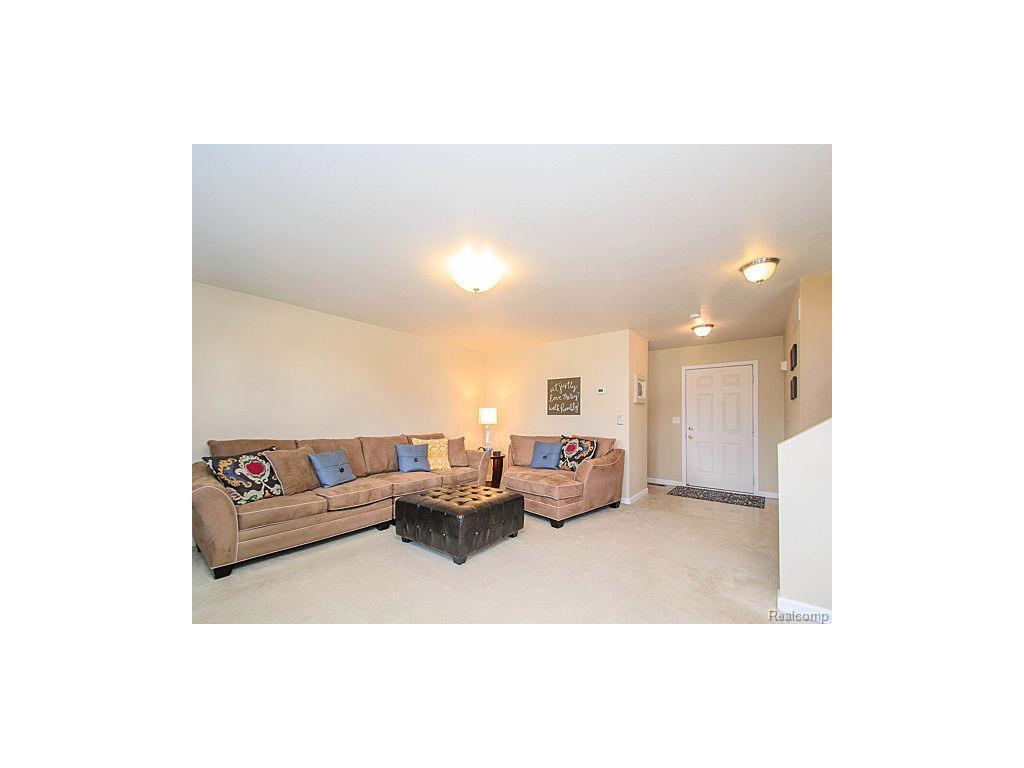 1262 Beavertail