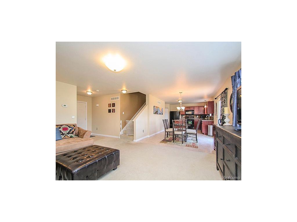 1262 Beavertail