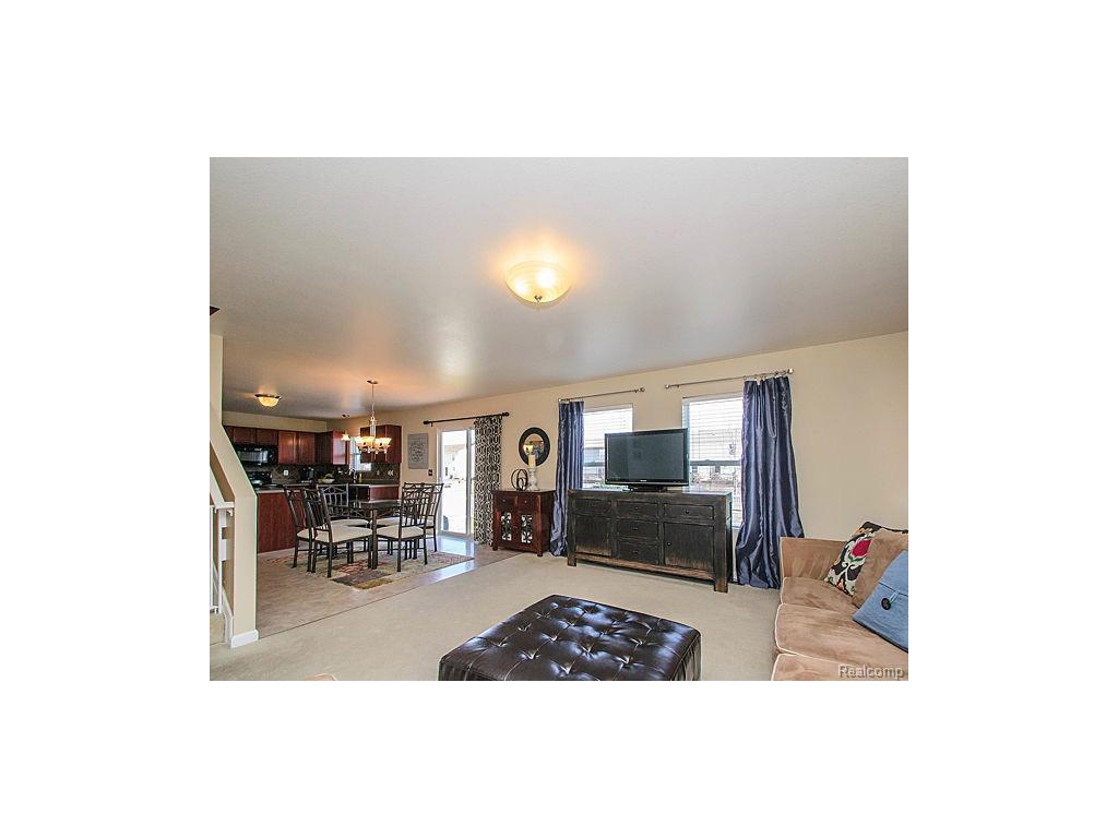 1262 Beavertail