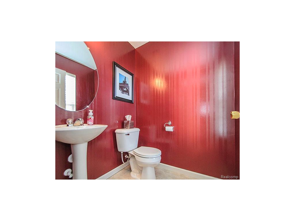 1262 Beavertail