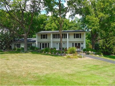 4482 Pine Tree