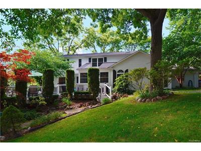 4482 Pine Tree