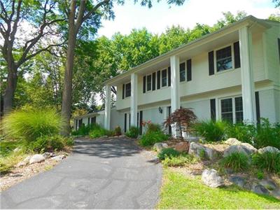 4482 Pine Tree