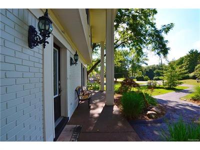 4482 Pine Tree