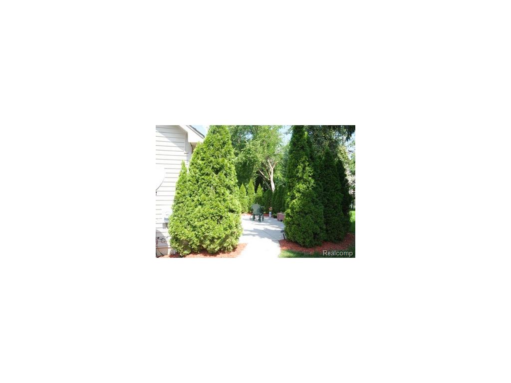 952 Downhill Ln