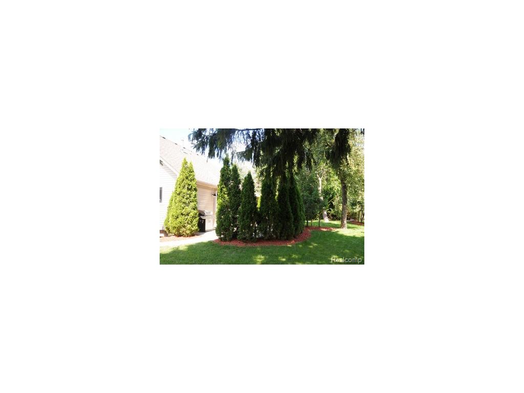 952 Downhill Ln