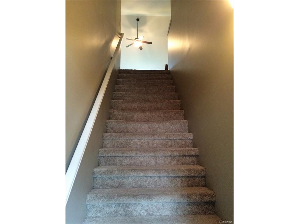 14450 Shadywood