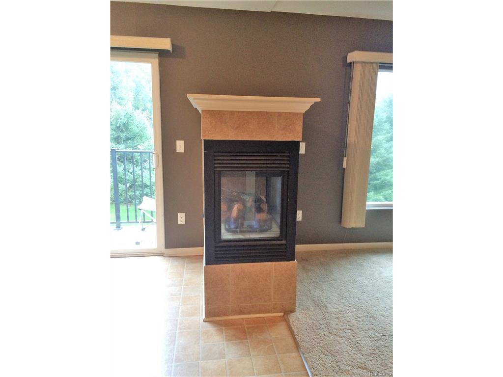 14450 Shadywood