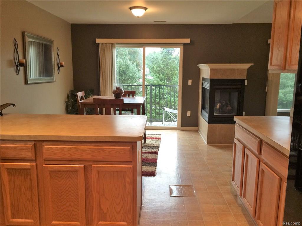 14450 Shadywood