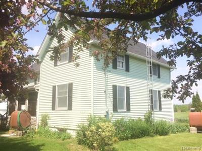 For Sale: 100 N Doran Imlay City, MI 48444