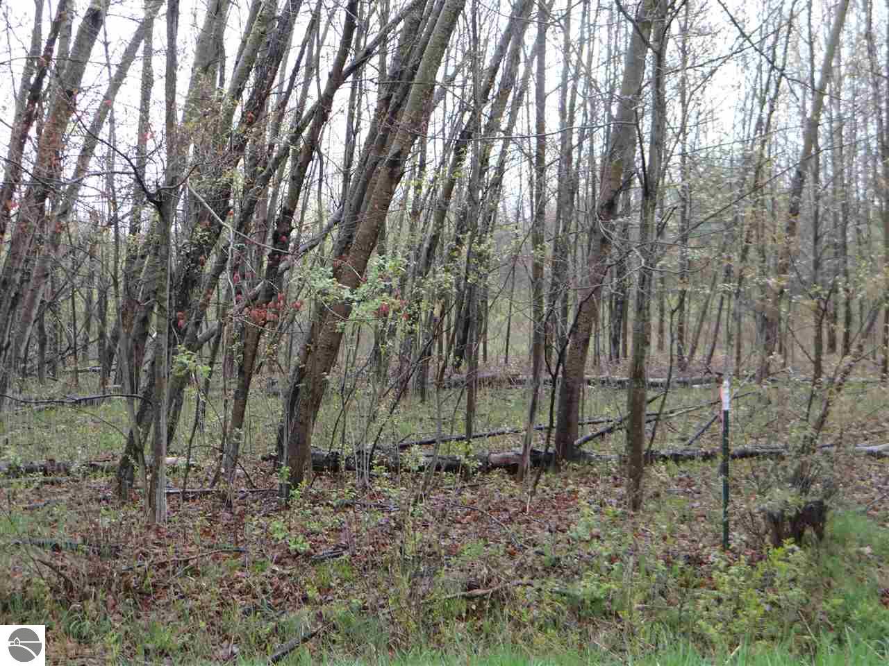 5150 Rifle River Trl