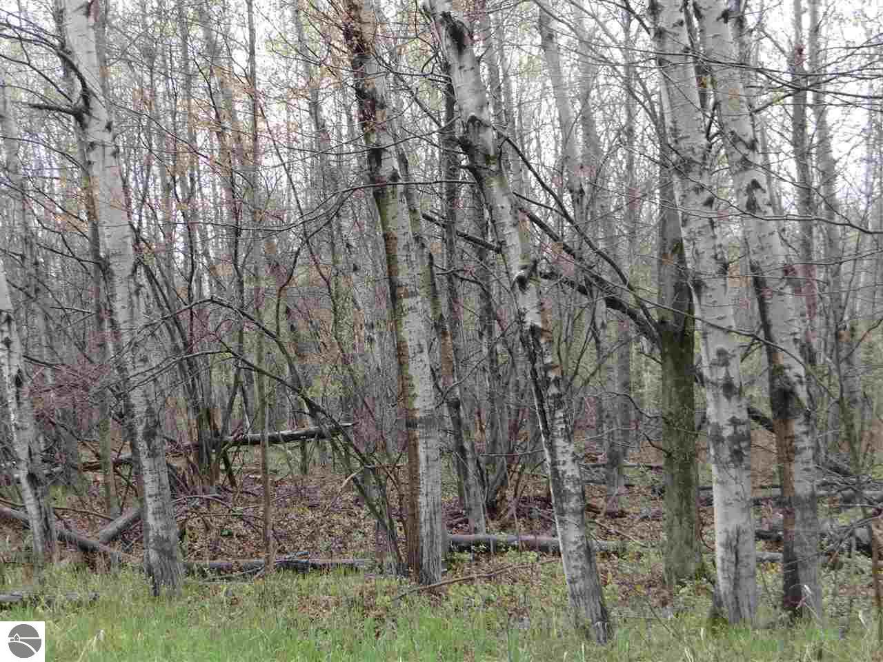 5150 Rifle River Trl
