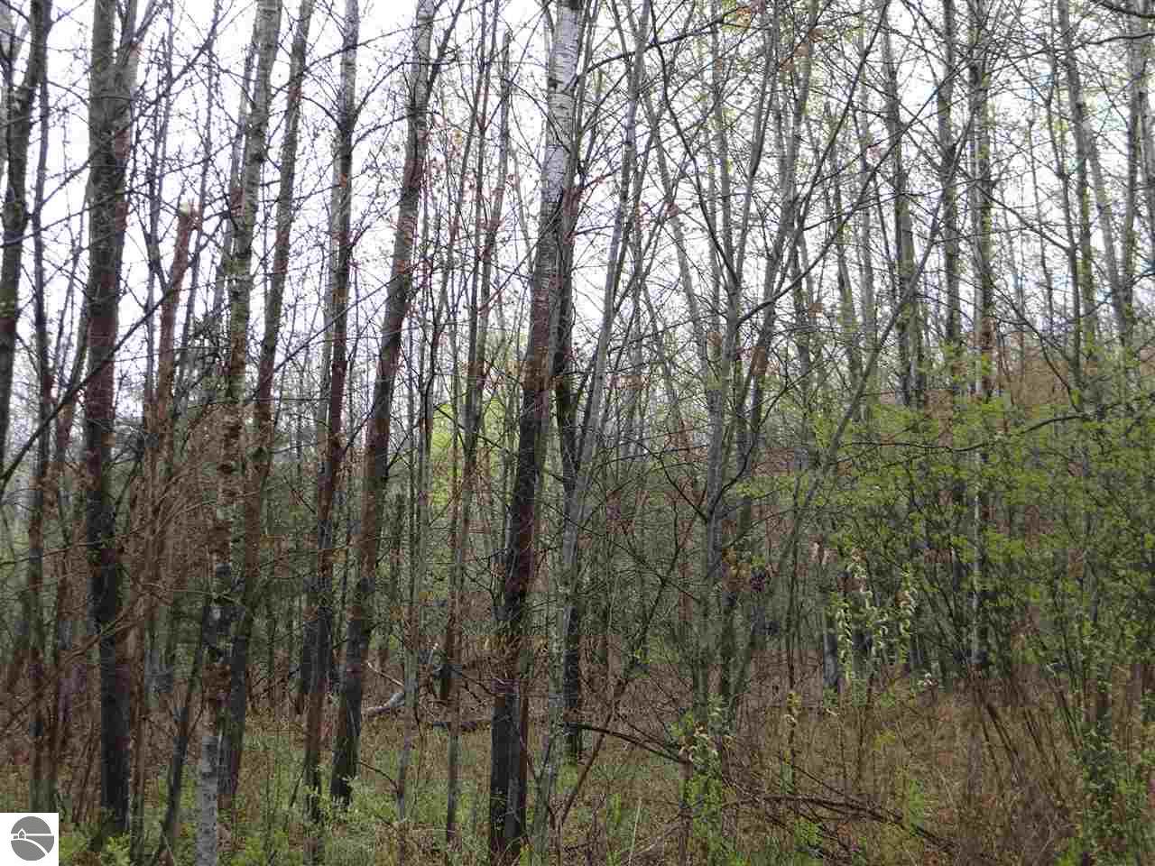 5150 Rifle River Trl
