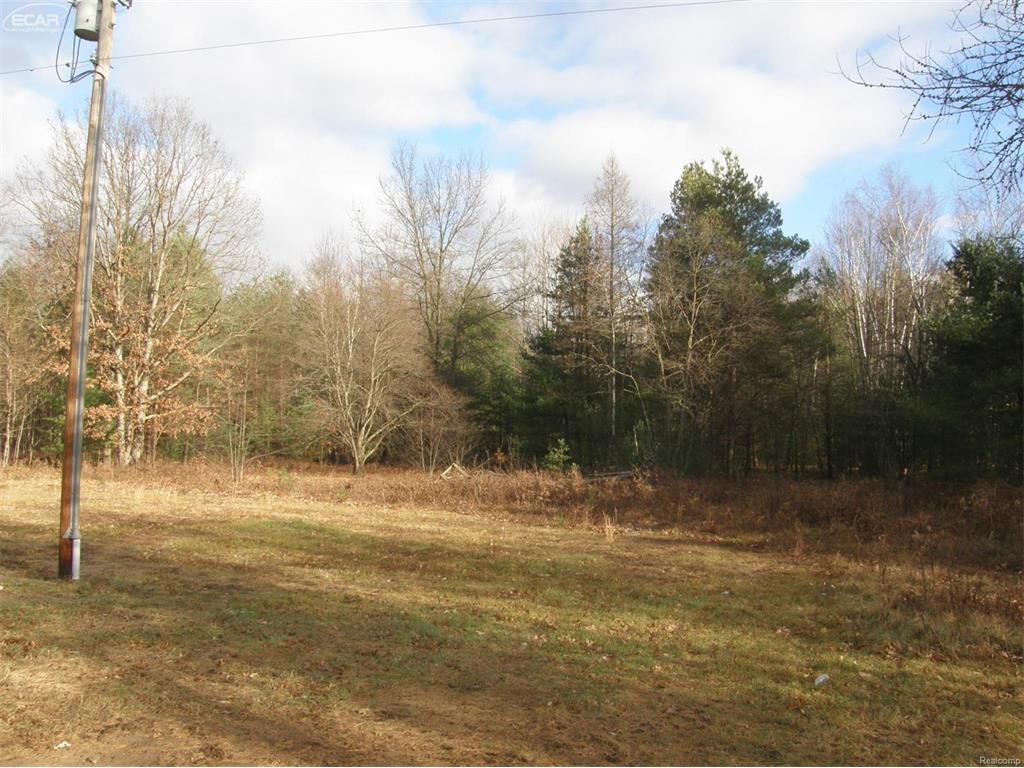 12129 S Chapin Rd