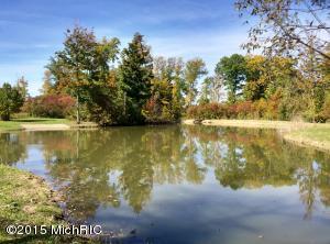 For Sale: 9 Hidden Pond Ln Sawyer, MI 49125