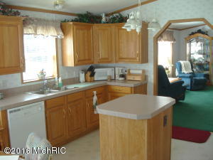 17861 Nelson Dr, Barryton MI 49305