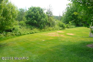 For Sale: 3445 Breanas Way Wayland, MI 49348