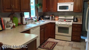 For Sale: 5853 Duck Lake Rd Whitehall, MI 49461