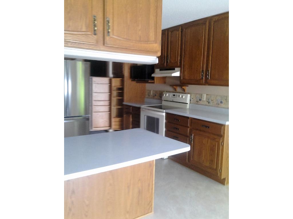 For Sale: 156 Shoreview Dr Cottonwood, MN 56229