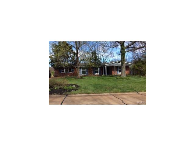 247 White Tree Ln