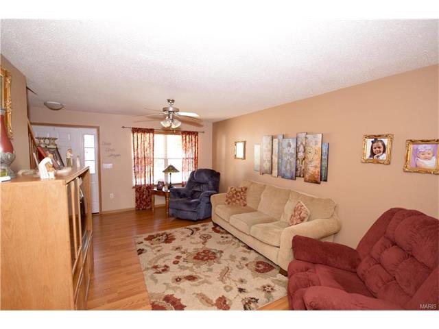 For Sale: 120 Ezekiel Ct Hillsboro, MO 63050