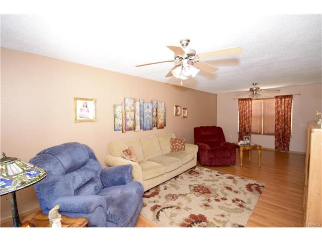 For Sale: 120 Ezekiel Ct Hillsboro, MO 63050