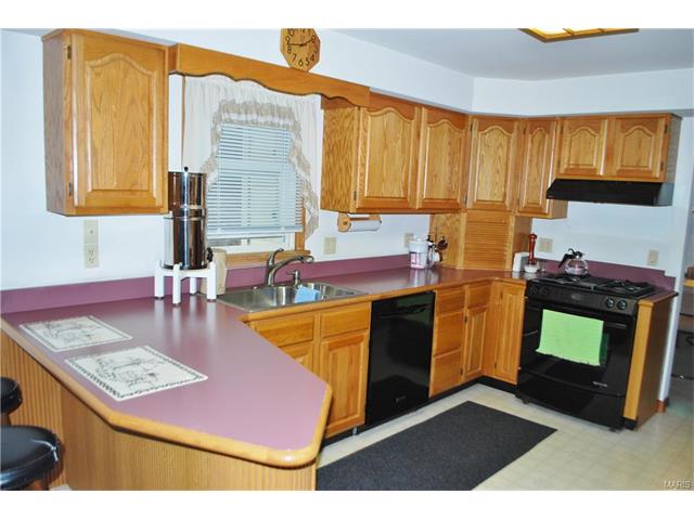 10102 Thorpe Ave Saint Louis, MO 63114