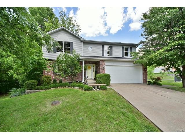 For Sale: 655 Sedan Park Ct Saint Louis, MO 63125