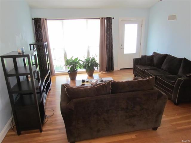 For Sale: 1163 Burch Saint Louis, MO 63130