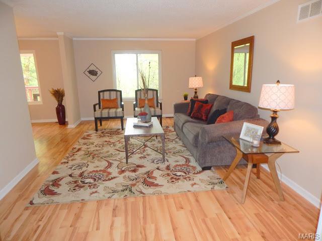 1438 Silverleaf Ln, Saint Louis MO 63146