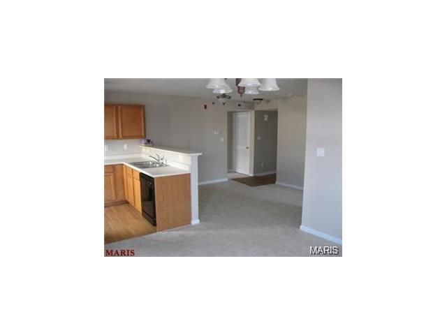 11101 Spring Creek Ln O Fallon, MO 63368