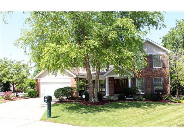 2324 Maple Tree