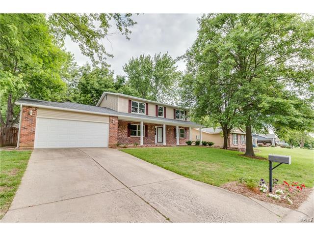 2324 Maple Tree