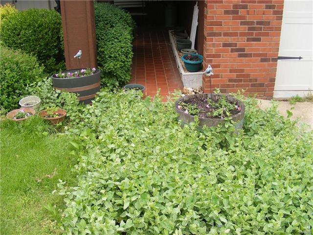 313 Mont Rouge, Bonne Terre MO 63628