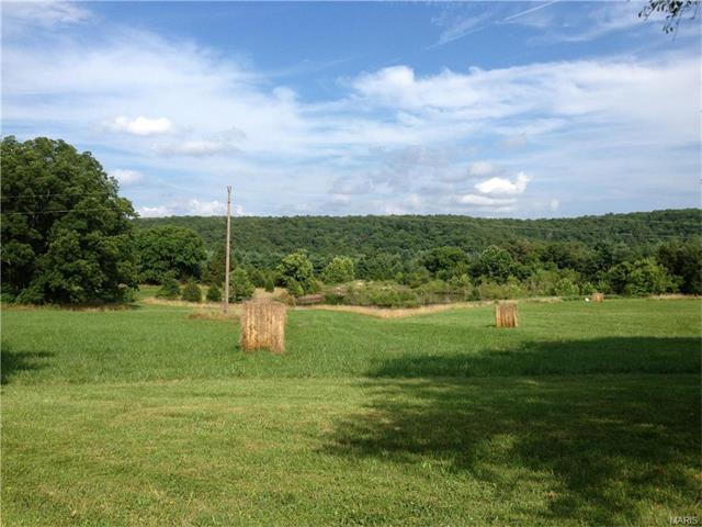 For Sale: 2161 Hog Trough Rd Owensville, MO 65066
