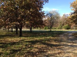 5 N Ranch Rd