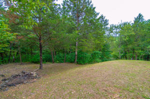 For Sale: 386 Angora Rd Reeds Spring, MO 65737