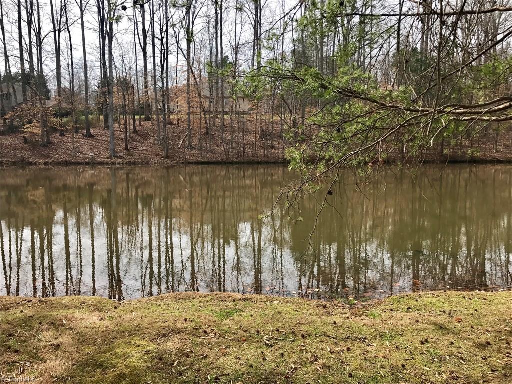 156 Lonetree Dr