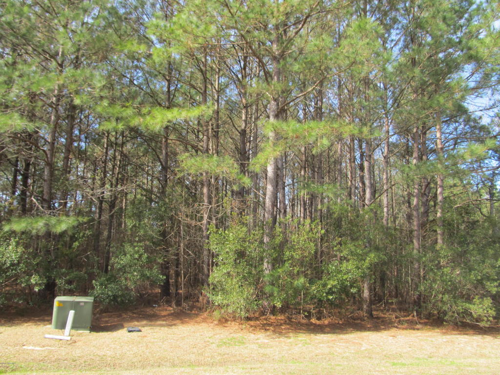 106 Lantana Ln