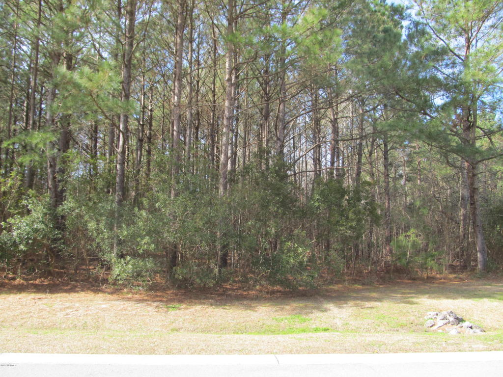 106 Lantana Ln