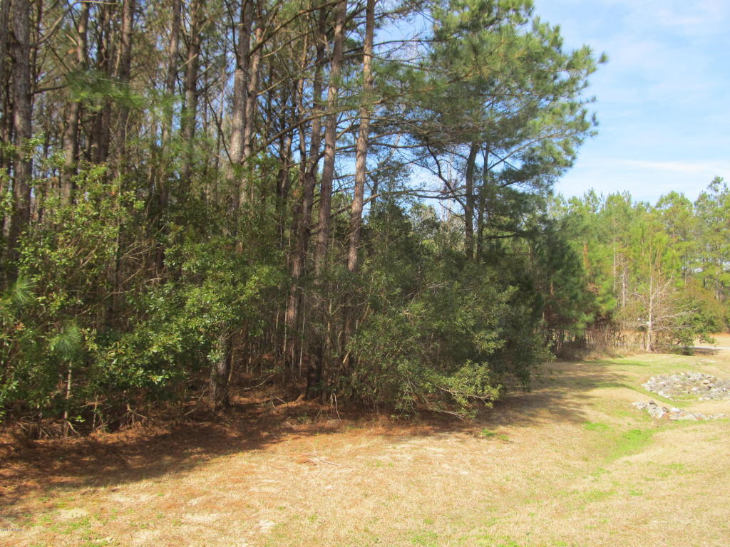 106 Lantana Ln