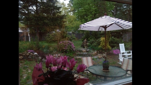 30 White Oaks Rd #11