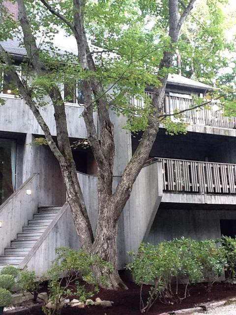 18 Old Stage Rd