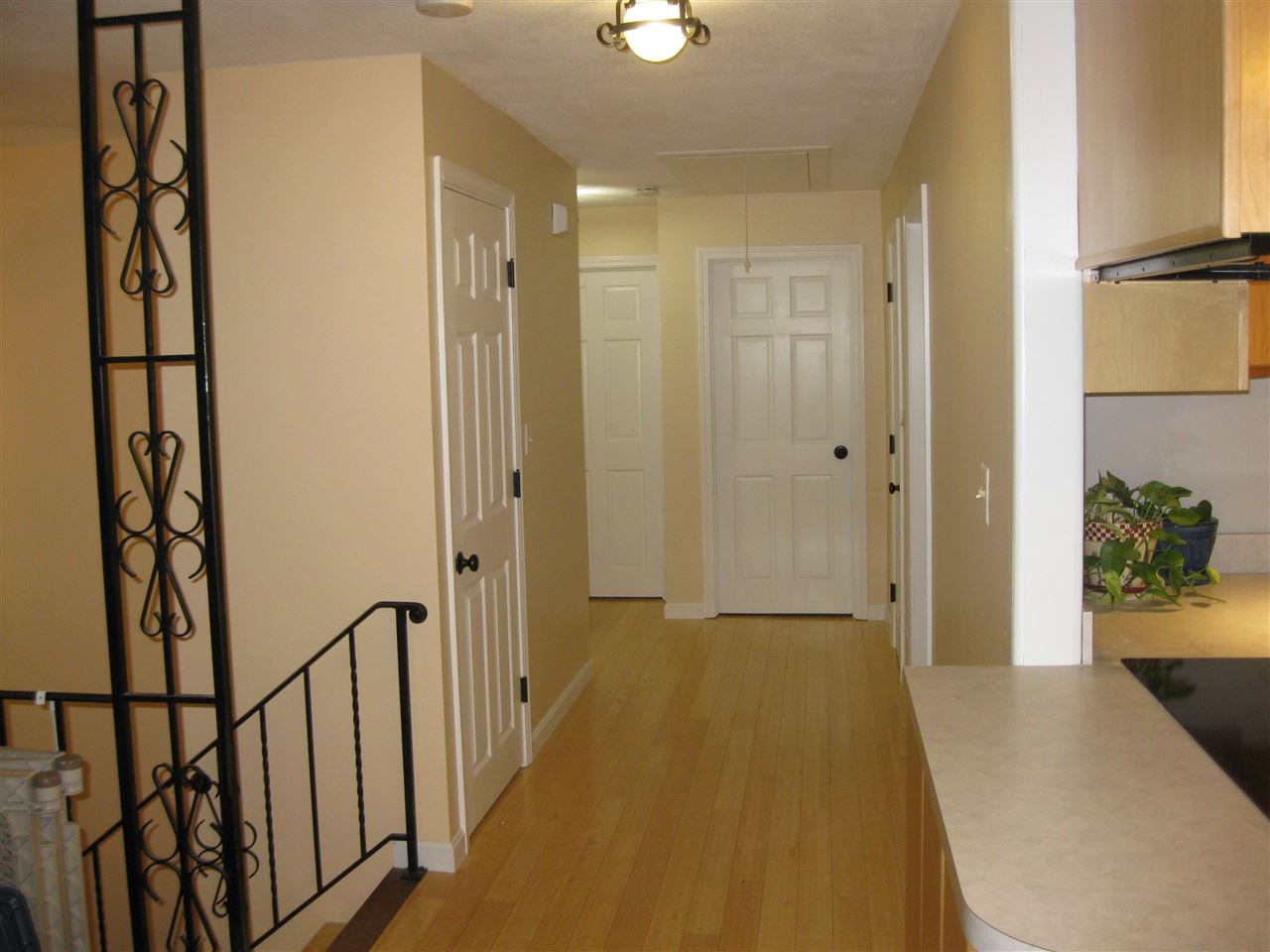 18 Yvonne St