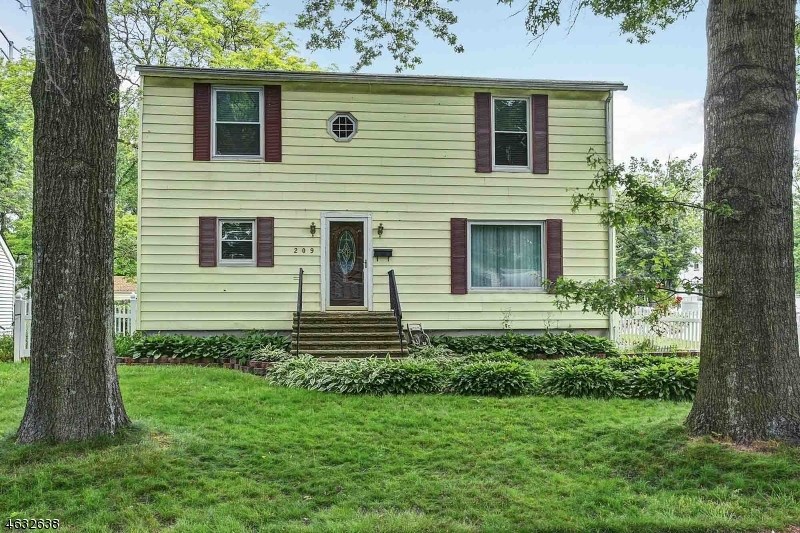 For Sale: 209 Terrill Rd Fanwood, NJ 07023