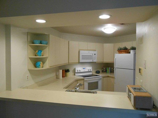 For Sale: 1419 Teresa Dr #APT 1419 Fort Lee, NJ 07024