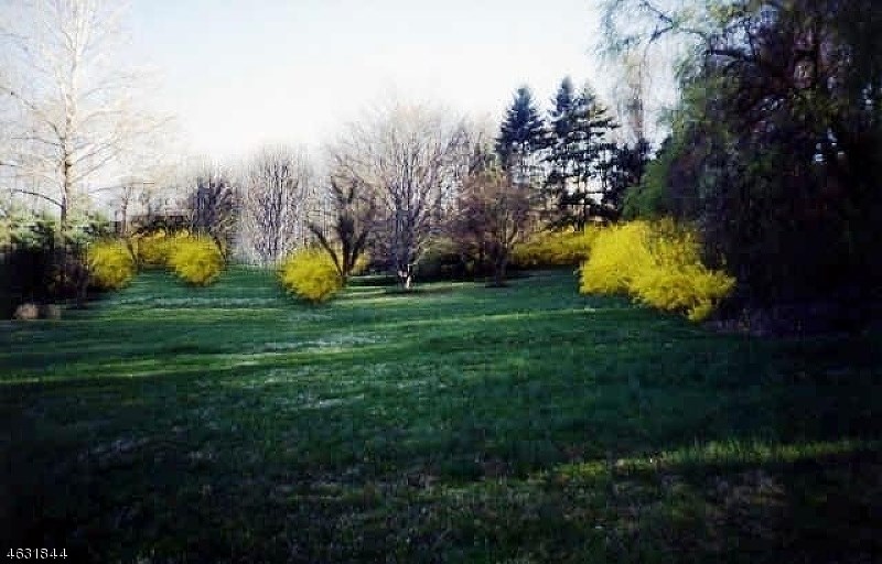 For Sale: 26 Horseneck Rd Montville, NJ 07045