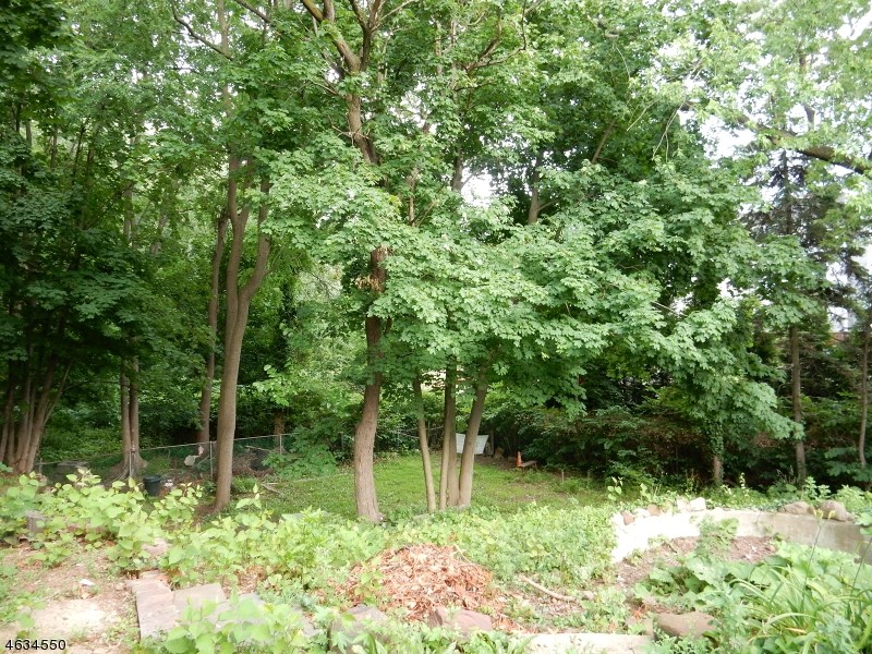 897 Westfield Ave