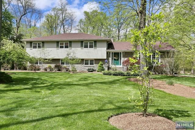 49 Ripplewood Dr